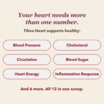 2026 08 28 slide3 12 areas v7 final no disclaimer
