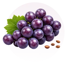 uveg4mjfhi5pp6tfves5